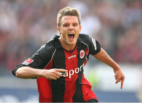 式也展现了 式也展现了